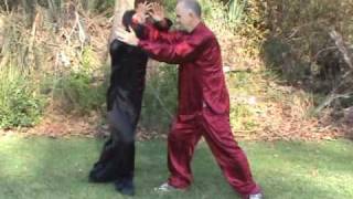 Practical Tai Chi Taiji Push Hands 41 Techniques [upl. by Anifad]