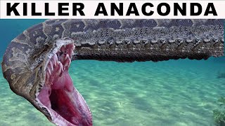 Killer Green Anaconda [upl. by Aneer]