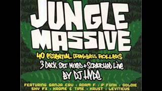 09 DJ Hype Rinse Out JUNGLE MASSIVE BY DJ HYPE [upl. by Yentyrb215]