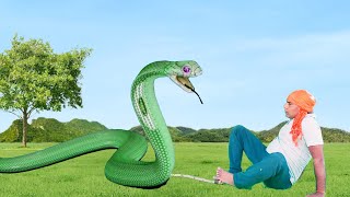 Attack of Anaconda and cobra snake simultaneously  snake video  snake movie [upl. by Zia]