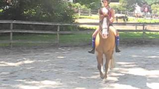 How To Trot Bareback [upl. by Sicular]