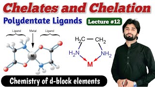 Chelates in Coordination Compounds  Ligands and thier Classification  Polydentate Ligands [upl. by Ettevol]