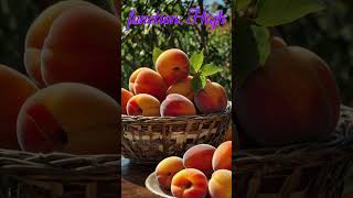 Apricot fruitshorts fruit healthshort apricots [upl. by Aliber126]