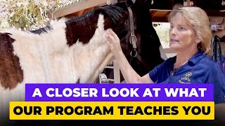 A Closer Look At What Our Program Teaches You  Holistic Horseworks [upl. by Ocker370]