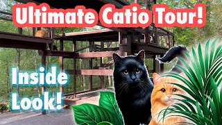 A Cats Paradise Explore Two Stunning Custom Catios [upl. by Hoeg]