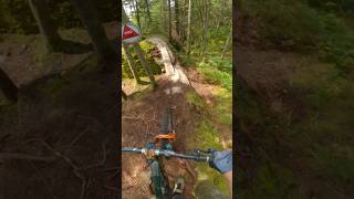 Pro lines galore on this trail mtb mountainbike mountainbiking [upl. by Sirronal313]