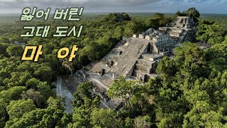 열대밀림 속 신비롭고 충격적인 마야문명  El mirador Tikal Calakmul [upl. by Zolnay]