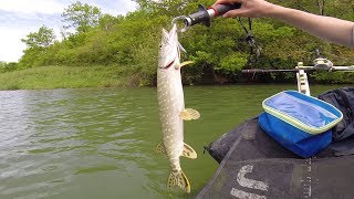 Pêche du brochet et de la perche en floattube n°1 en Ariege  GoPro HD [upl. by Xerxes]