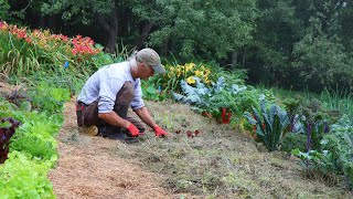 The GrassFed Market Garden No Water No Weeds No Tilling [upl. by Graubert857]