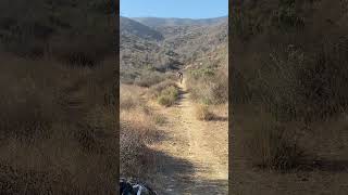 Downhill Ensenada México mtb biking downhill mexico bajacalifornia [upl. by Vlad583]