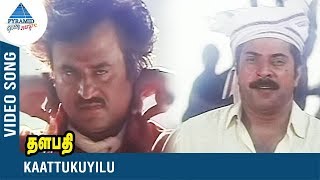 Rajinikanth Song  Kaattukuyilu Video Song  Thalapathi  Mammootty  Yesudas  SPB  Ilayaraja [upl. by Eiznekam160]