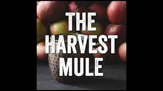 How to make a Harvest Mule [upl. by Page]