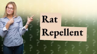 What smell do rats fear [upl. by Jankey473]