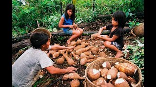 Cresce o número de doenças entre índios por maus hábitos alimentares [upl. by Vachell]