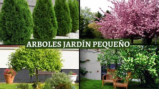 Los 5 MEJORES ÁRBOLES para un “Jardín pequeño”🌳 [upl. by Noivaz289]