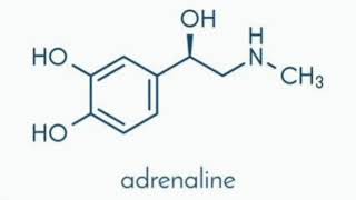 Monoamine hypothesis of depression [upl. by Odelet]