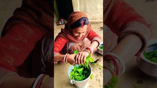 aarti nip li aagan artichotulove lovemarriage shortsvideo dance artichotumargai [upl. by Aikimat]