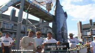 White Marlin Open 2010  Day 2  quotGrander Blue amp 97 lb Whitequot [upl. by Langley]