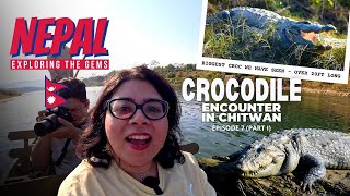 🇳🇵Nepal  Crocodile encounter in Chitwan  Barahi Jungle Lodge Room Tour  Rapti River Boat Safari [upl. by Zoara]