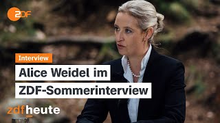 Weidel wünscht sich Trump als USPräsidenten  ZDFSommerinterview 07072024 [upl. by Wayne376]