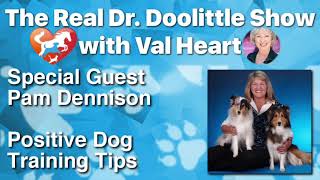 Positive Dog Training Tips  Pam Dennison on The Real Dr Doolittle Show™  Animal Talk 62 [upl. by Maroney]