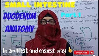 Duodenum Anatomy  Parts of Duodenum  small Intestine  part 1  ayeshamedicaleducation [upl. by Hamer284]