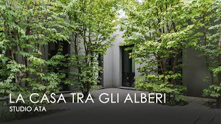 Larchitetto progetta la propria casa tra gli alberi in centro città  Studio ATA Tour della casa [upl. by Guod]