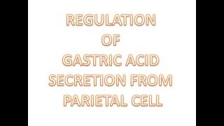 Physiology of Gastric acid secretion Mechansim Regulation and Phases [upl. by Snebur995]