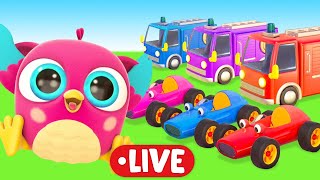 🔴 Baby cartoons amp Baby videos LIVE Full episodes cartoon for kids with Hop Hop the Owl [upl. by Risteau]