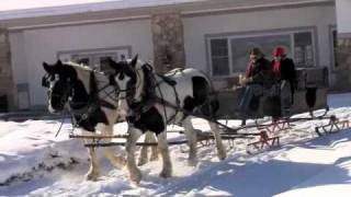 Sleigh Rides at Homestead Resort [upl. by Earej]