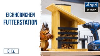 Eichhörnchen Futterhaus selber bauen I DIYAnleitung [upl. by Aksel]