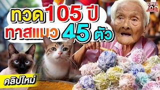 น่ารักไม่ไหว ความฝันของทวด 105 ปี ขอทุนซื้อข้าวเลี้ยงแมว ยายสงวน ก๋วยเตี๋ยว 5 แผ่นดิน  SUPER100 [upl. by Aro]