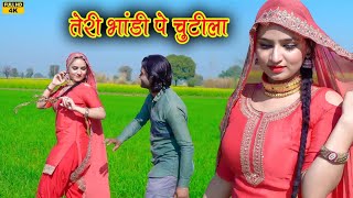 भांडी पे चुटीला 4k Video  Sanjana Choudhary  Ajooba  New Mewati song 2023 [upl. by Sivad]