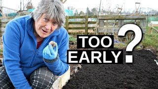 Early Potatoes Early Planting [upl. by Atcele512]