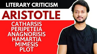 Literary Criticism Of Aristotle [upl. by Simona]