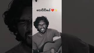 Poddiye Cover ❤️✨️ cover singersrilanka viral coversong music guitarcover guitar songfyp [upl. by Starr]