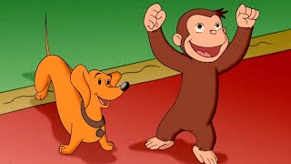 George impara cose nuove 🐵 Curioso Come George 🐵 Cartoni per Bambini [upl. by Ashli]