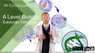 IGCSE Biology  Nutrient cycles 193 [upl. by Fey301]