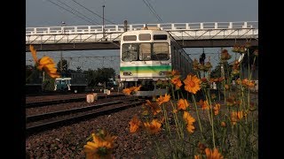 秩父鉄道 Chichibu Railway [upl. by Nogras174]