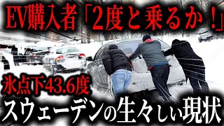 「やっぱりトヨタが正しかった…」真冬にEVに乗車した人の末路…EVよりガソリン車をおすすめする理由【ゆっくり解説】 [upl. by Nosle]