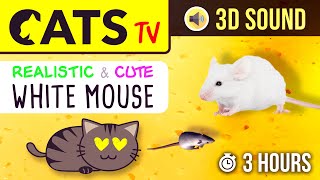 CATS TV  The BEST Mouse Game for CATS 🐭 3 HOURS Realistic running mouse on cheese 🧀 [upl. by Anema364]