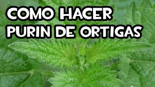 Cómo Hacer el Purin de Ortigas  Paso a Paso [upl. by Yleik]