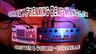 Critter amp Guitari Organelle  Crazy Freaking Beat Mangler [upl. by Gayle]