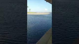 where the river meets the sea trinidad shortsvideo [upl. by Waldack]