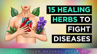 15 Most POWERFUL Medicinal Herbs To Heal Your Body [upl. by Mutat]