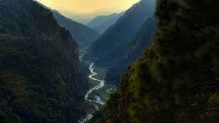 Deliveries Around The World  Gajoli Uttarakhand India [upl. by Ecnarret]