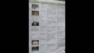 Non communicable Diseases Science [upl. by Naesyar]