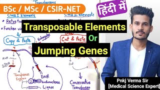 Transposable Elements  Jumping Genes  Part 1  Pnkj Verma Sir [upl. by Persian516]