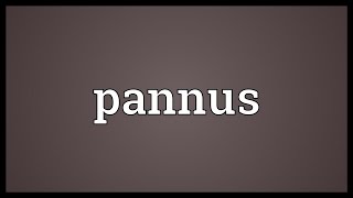 Pannus Meaning [upl. by Tiemroth]