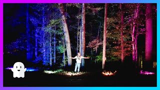 New Connected Smart Halloween Lighting with Ustellar Garden Gem Band  Unboxing Setup amp Review [upl. by Fulvia]